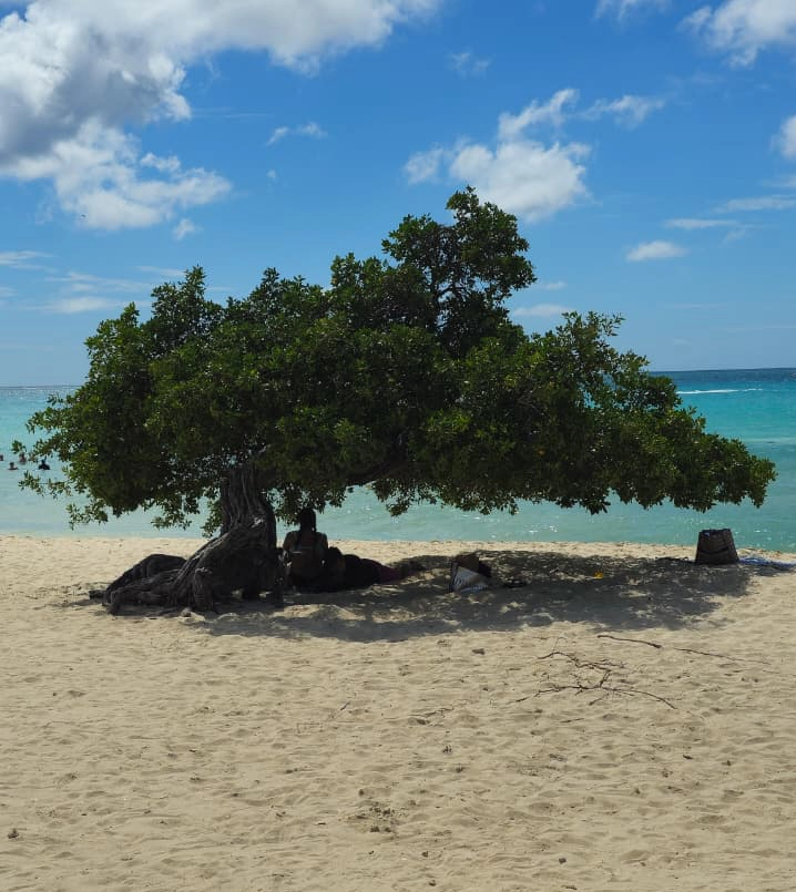 Espaço para foto própria de Eagle Beach, Aruba