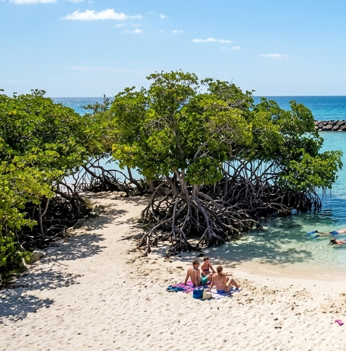 Espaço para foto própria de Mangel Halto, Aruba
