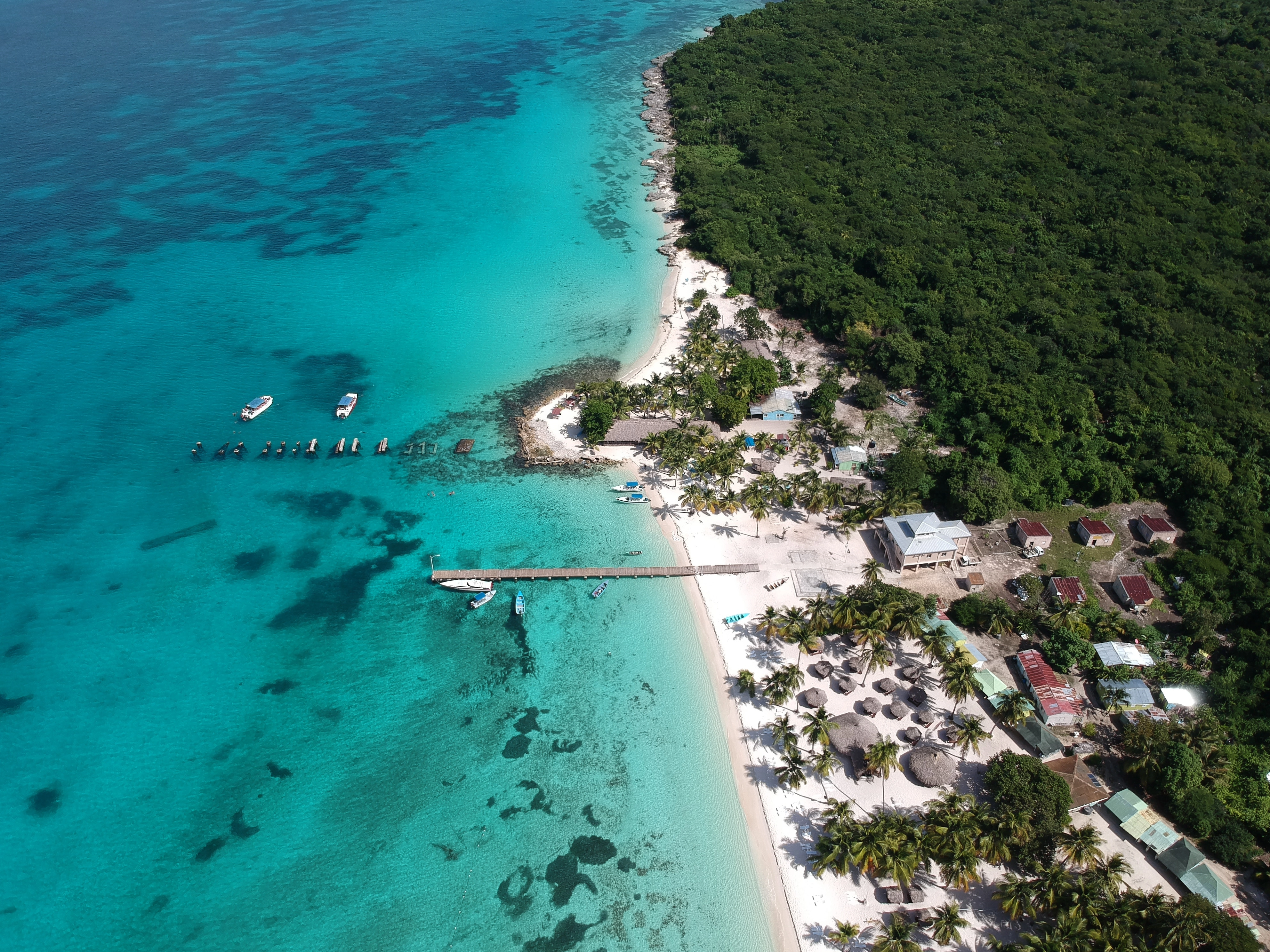 Ilustração de praias, coqueiros e mar azul em Punta Cana
